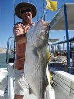 47 lbs Striper by Jim Thompson