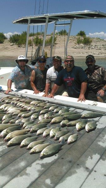 Fishing for White Bass in Lakes
