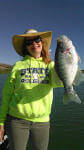 Crappie