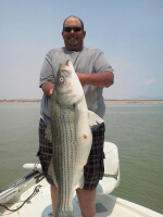 38 lb. 8 oz. Striper