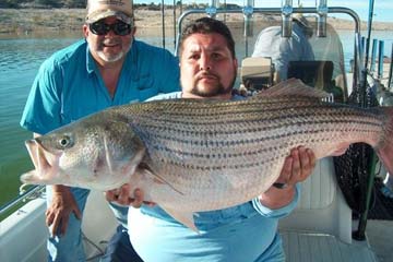 striper fishing