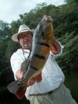 Internationa Brazil Bass Fishing Charters