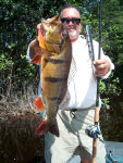 Internationa Brazil Bass Fishing Charters