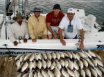 Whitebass Fishing