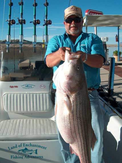 Striper Fishing